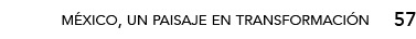 57,méxico, un paisaje en transformació