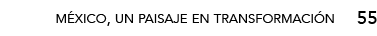 55,méxico, un paisaje en transformació