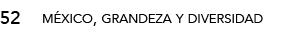 52,méxico, grandeza y diversida
