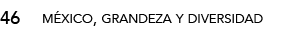 46,méxico, grandeza y diversida