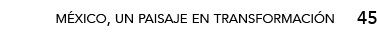 45,méxico, un paisaje en transformació