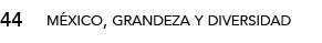 44,méxico, grandeza y diversida