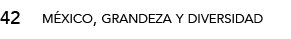 42,méxico, grandeza y diversida