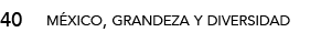 40,méxico, grandeza y diversida