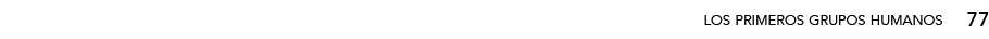 77,los primeros grupos humano
