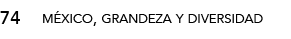 74,méxico, grandeza y diversida