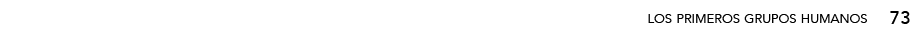 73,los primeros grupos humano