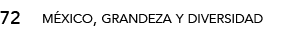 72,méxico, grandeza y diversida
