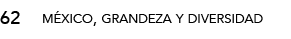 62,méxico, grandeza y diversida