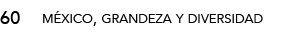 60,méxico, grandeza y diversida