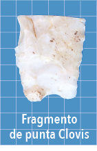 Fragmento de punta Clovi