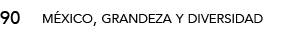 90,méxico, grandeza y diversida