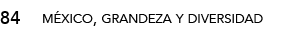 84,méxico, grandeza y diversida