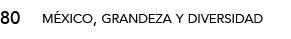 80,méxico, grandeza y diversida