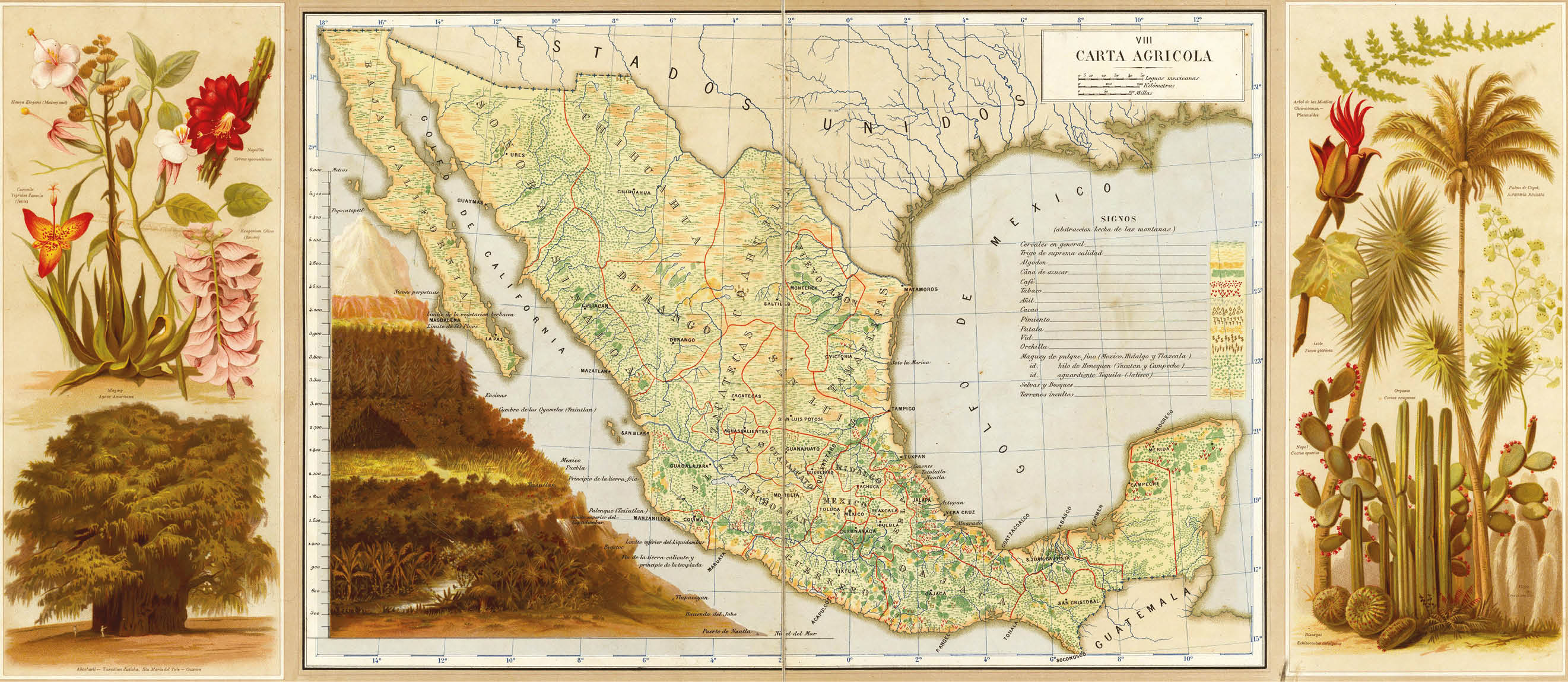  carta aGrícOLa  LÁMIna VIII ; En antOnIO García cUbas, aTLas PINTOresCO e hIsTÓrICO De LOs esTaDOs UNIDOs MeXICaNOs, MÉXIcO, DEbraY Y sUcEsOrEs EDItOrEs, 1885_ hacienda del Mirador en huatusco  Veracruz  _ La siembra  _ La siembra  