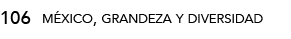 106,méxico, grandeza y diversida