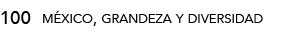 100,méxico, grandeza y diversida