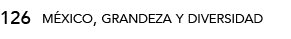 126,méxico, grandeza y diversida