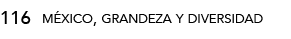 116,méxico, grandeza y diversida