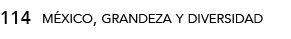 114,méxico, grandeza y diversida