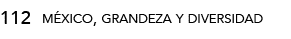 112,méxico, grandeza y diversida