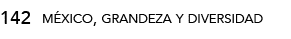 142,méxico, grandeza y diversida