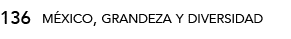 136,méxico, grandeza y diversida