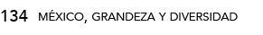 134,méxico, grandeza y diversida