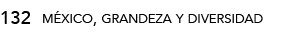 132,méxico, grandeza y diversida