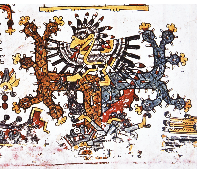 CO 1262  Códice Borgia, lámina 50  DETALLE  De  Las cinco regiones del mundo y sus deidades   El iztaccuauhtli (Caracara cheriwey), en el rumbo del norte sobre un nopal sacrificial  La sangre mana de la deidad sacrificada que se encuentra en la raíz y brota de los cuchillos sacrificiales en la cresta y la cola  La Vía Láctea está apresada con la pata derecha  El cuauhtli conforma el cuerpo del Sol con sus bandas roja y amarilla y el núcleo del astro con el pico lleno de sangre  Los rayos de luz blanca se proyectan por los espacios entre las plumas negras 