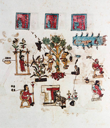 muerte de cuauhtémoc_En el Códice Vaticano A se registró que    Cuauhtémoc y Tetlepanquetzal, tlatoani de Tlacopan, fueron   ahorcados colgándolos de una ceiba o pochote  Unido por   un trazo fino a la raíz del árbol, se encuentra Juan Velázquez   Tlacotzin, nombrado tlatoani por los españoles     CÓDICE VATICANO A  F  90R  (DETALLE)