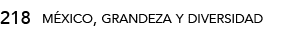 méxico, grandeza y diversidad,21
