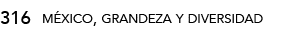 316,méxico, grandeza y diversida