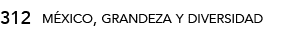 312,méxico, grandeza y diversida