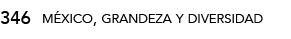 346,méxico, grandeza y diversida