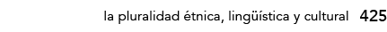 425,la pluralidad étnica, lingüística y cultura
