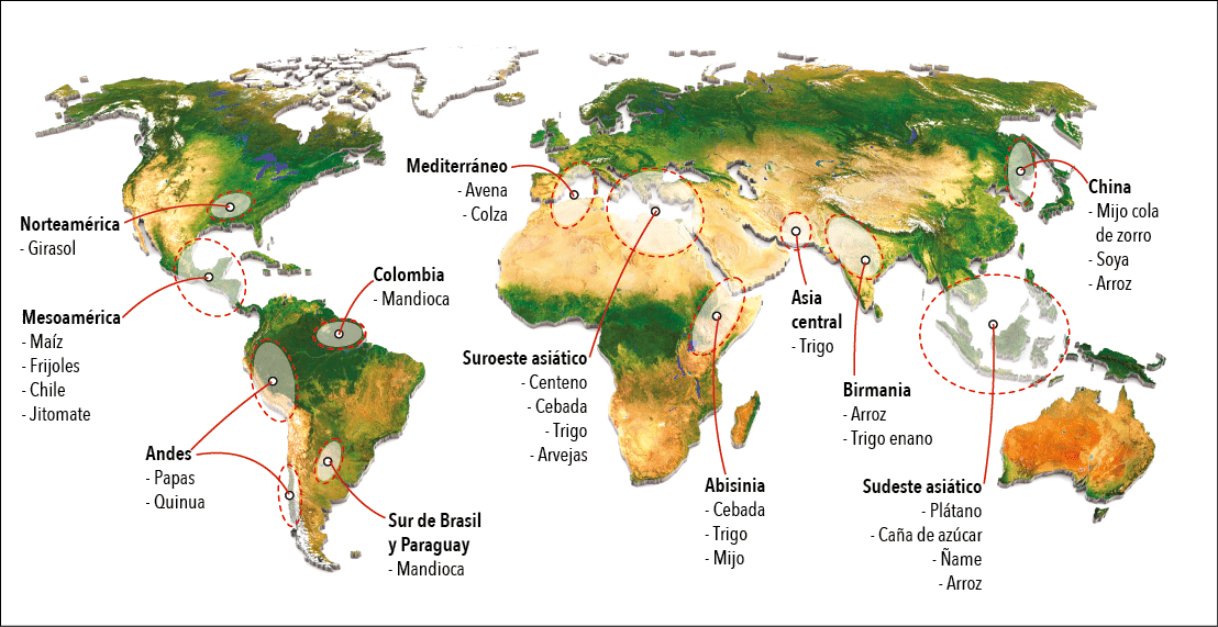 Mediterráneo - Avena - Colza,Suroeste asiático - Centeno - Cebada - Trigo - Arvejas,Asia central - Trigo,Birmania - A   