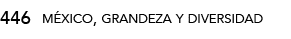 446,méxico, grandeza y diversida
