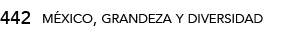 442,méxico, grandeza y diversida