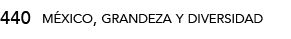 440,méxico, grandeza y diversida