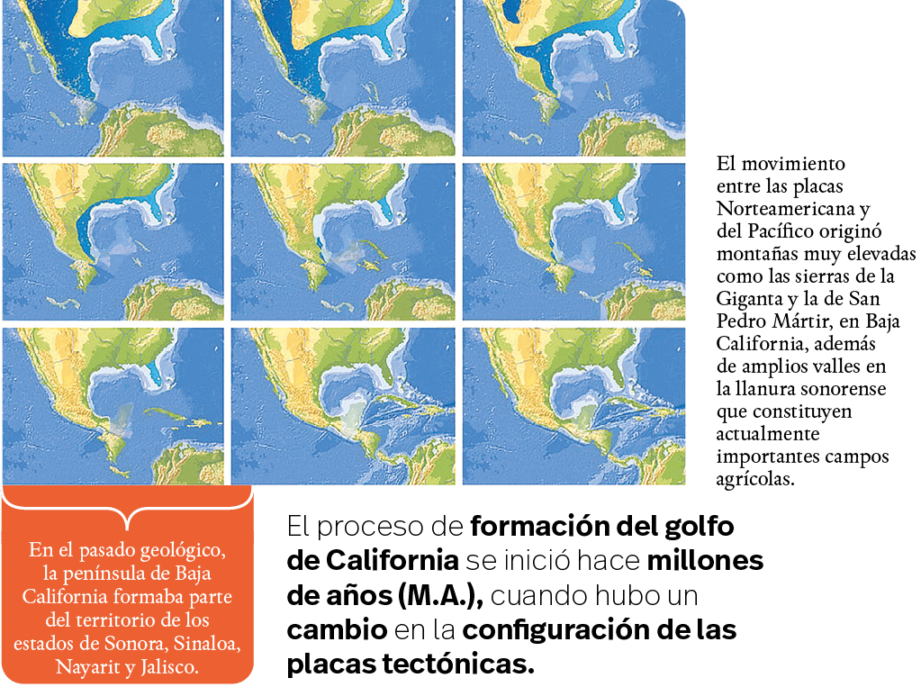 El proceso de formación del golfo de California se inició hace millones de años (M A ), cuando hubo un cambio en la c   