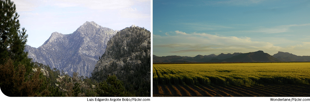 Wonderlane Flickr com,Luis Edgardo Argote Bolio Flickr co
