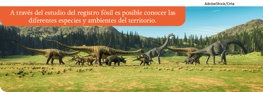AdobeStock Orla,A través del estudio del registro fósil es posible conocer las diferentes especies y ambientes del te   