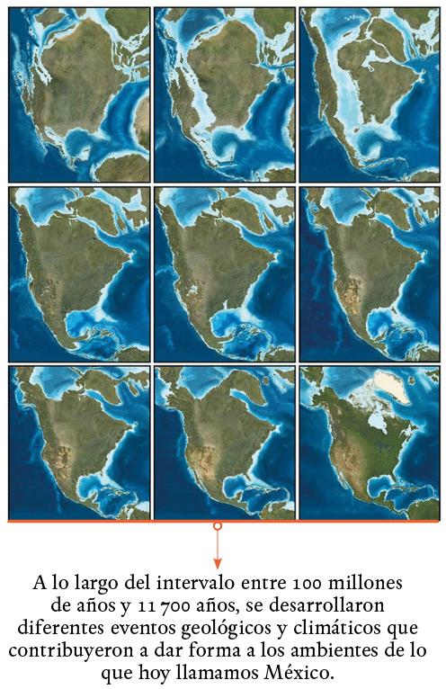 A lo largo del intervalo entre 100 millones de años y 11 700 años, se desarrollaron diferentes eventos geológicos y c   