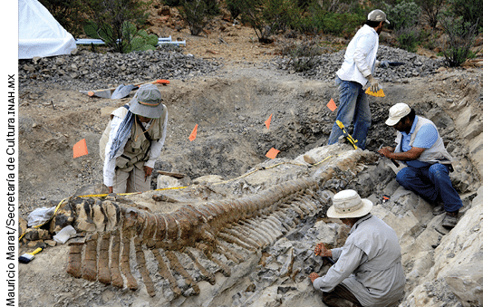 Mauricio Marat Secretaría de Cultura inah m