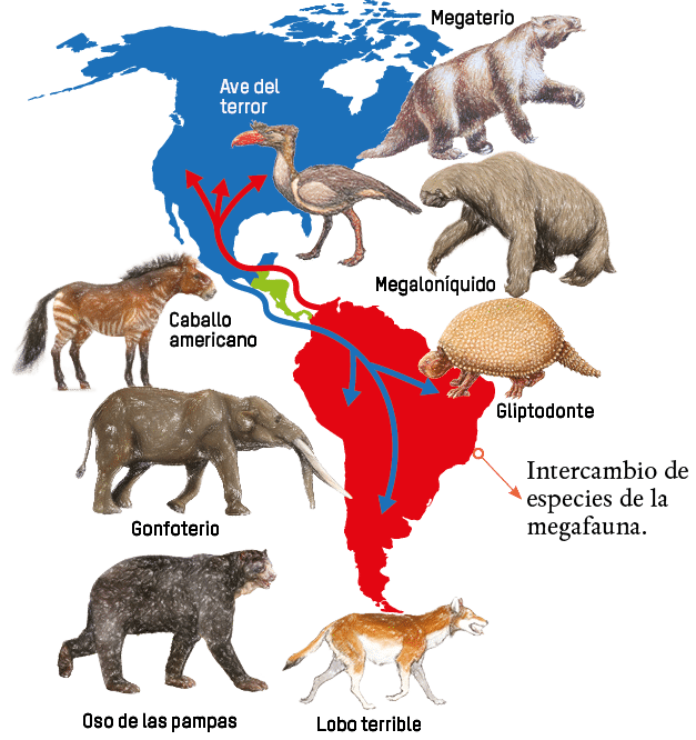 Megaterio,Megaloníquido,Gliptodonte,Lobo terrible,Ave del terror,Caballo americano,Gonfoterio,Oso de las pampas,Inter   