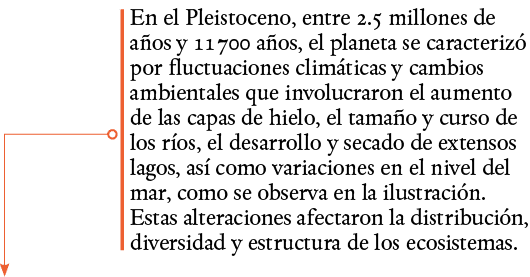 En el Pleistoceno, entre 2 5 millones de años y 11 700 años, el planeta se caracterizó por fluctuaciones climáticas y   