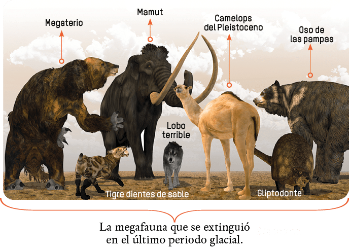 Gliptodonte,Gliptodonte,Tigre dientes de sable,Lobo terrible,Camelops del Pleistoceno,Oso de las pampas,Mamut,Megater   