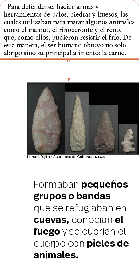 Harumi Fujita   Secretaría de Cultura inah mx,Para defenderse, hacían armas y herramientas de palos, piedras y huesos   