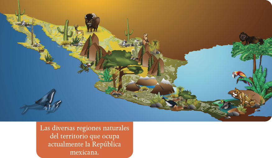 Las diversas regiones naturales del territorio que ocupa actualmente la República mexicana